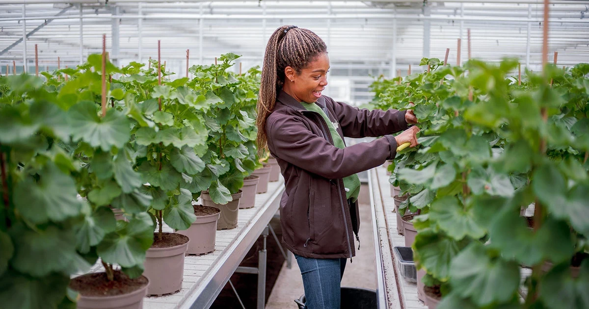 Hyde Park Nursery Walking Tour