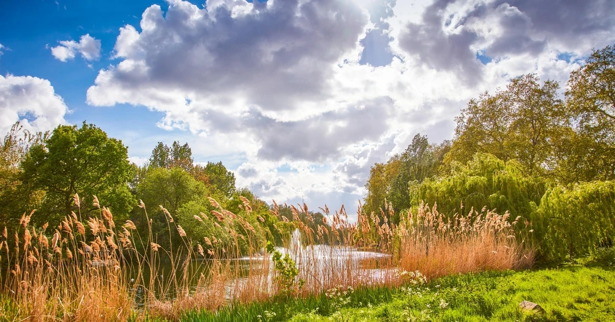 Green Escapes: An introduction to nature in St James’s Park