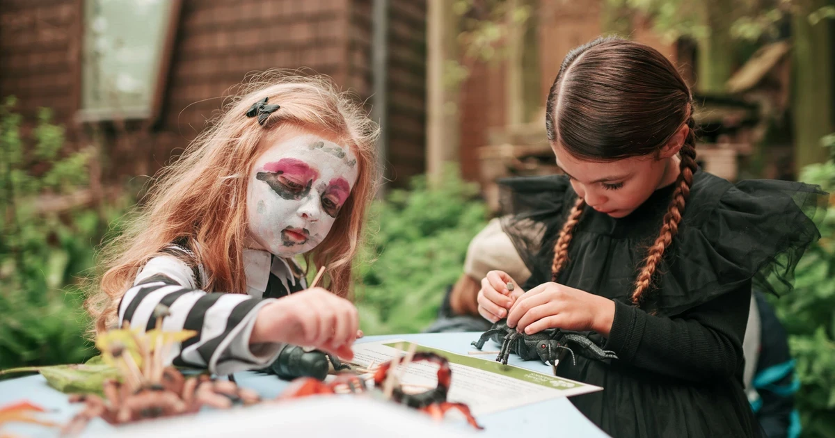 Discovery Days: Hair raising Halloween