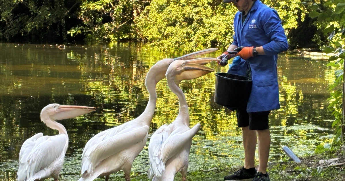 Hidden Stories of St. James's Park Walking Tour