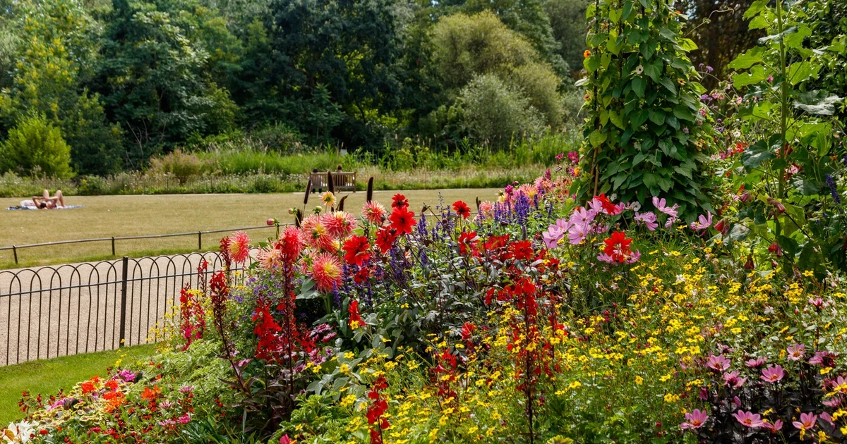 Hyde Park Nursery Walking Tour