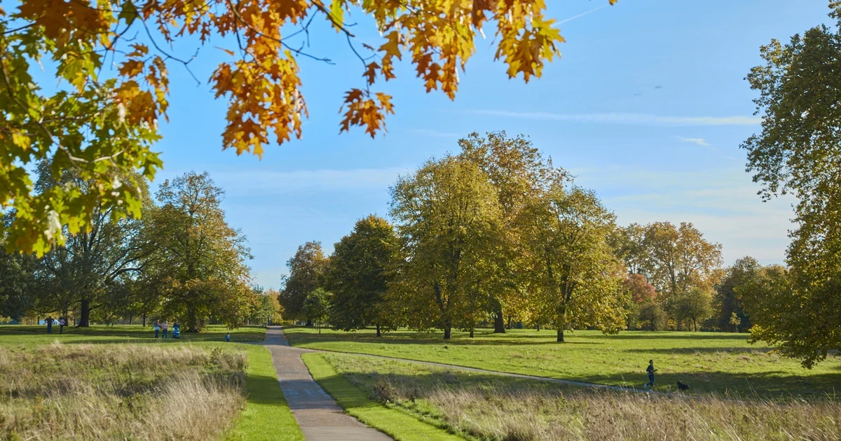 Hidden Stories of Kensington Gardens Walking Tour