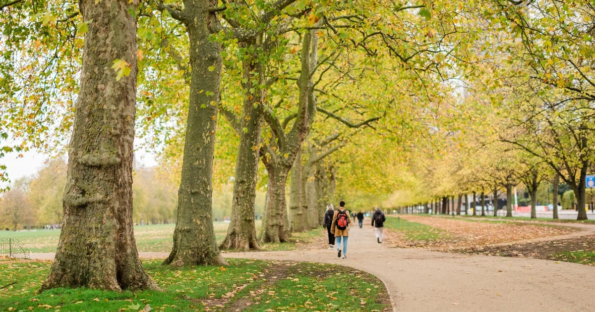 Hidden Stories of Hyde Park Walking Tour