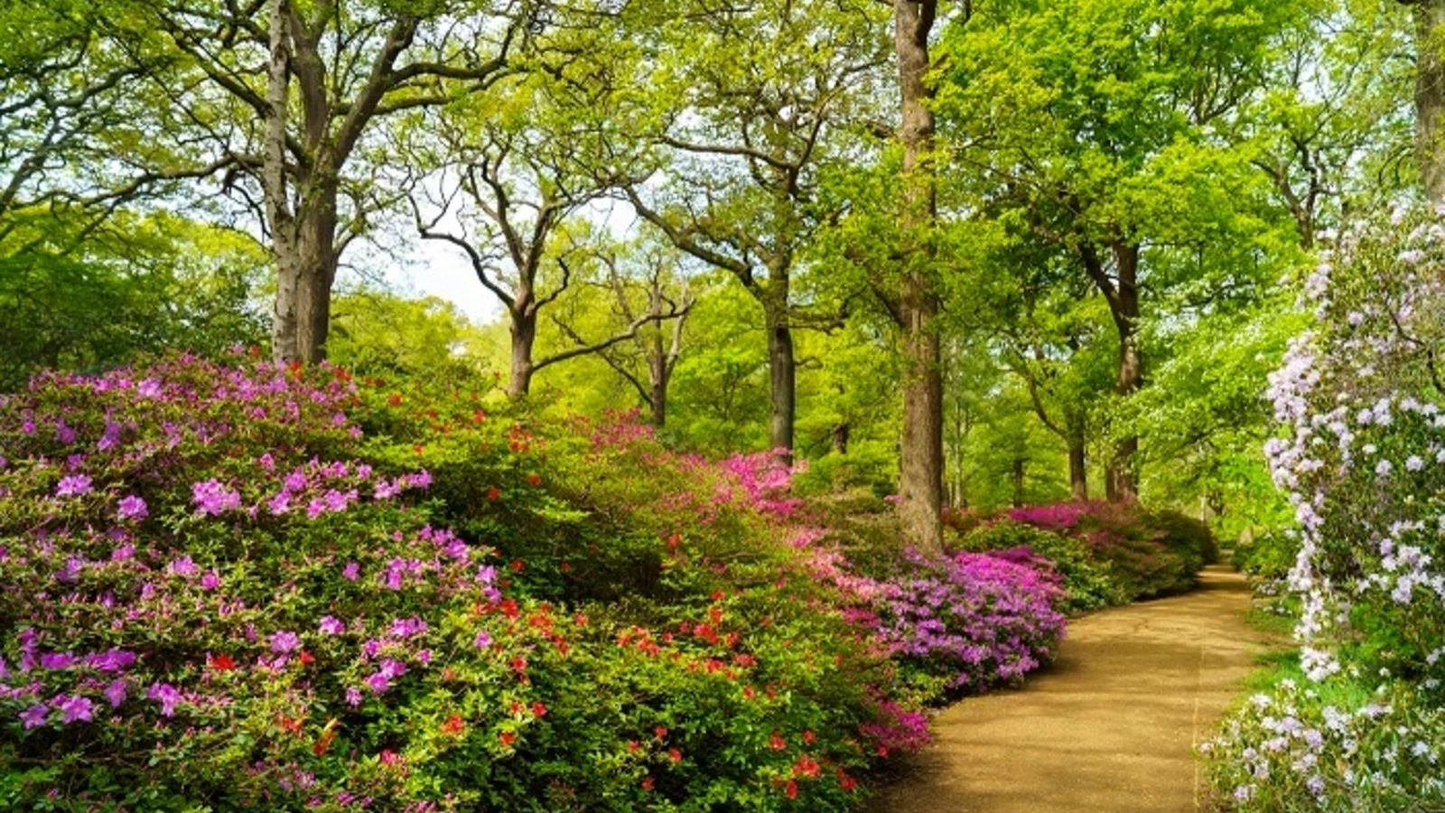 Richmond Park | The Royal Parks